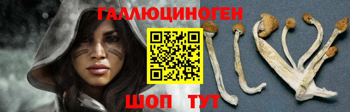 Галлюциногенные грибы Cubensis  Галлюциногенные грибы MAGIC MUSHROOMS  Жигулёвск  Вход с VPN 